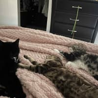 Photo of Gadget   Located In Pakenham