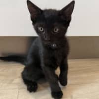 Photo of Mrs. Scribbles