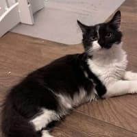 Photo of  Basil & Otis