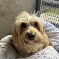Photo of Wanda