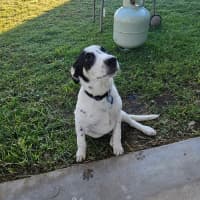 Photo of Choco