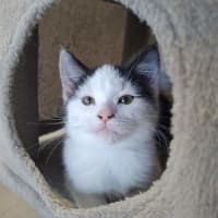 Photo of Kristoff