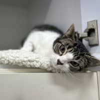 Photo of Olivia