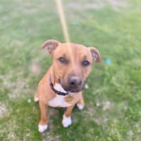 Photo of Rinleigh