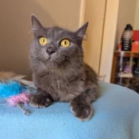 Photo of Lydia 