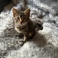 Photo of Tabitha