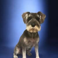 Photo of Cali And Theo