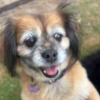 Photo of Sookie