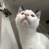 Photo of Wednesday