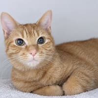 Photo of Isabella