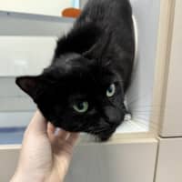 Photo of Spooki