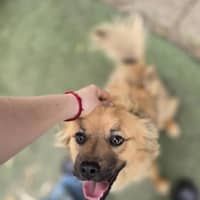 Photo of Ace