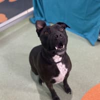 Photo of Tank