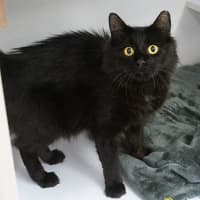Photo of Sabrina