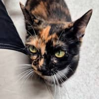 Photo of Faye (8925)