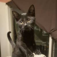 Photo of Blade