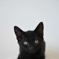 Photo of Eleanor