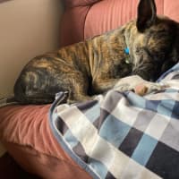 Photo of Lola