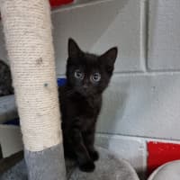 Photo of Percy