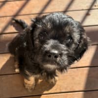 Photo of Zara