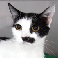 Photo of Layla Sta015087