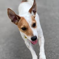 Photo of Jack