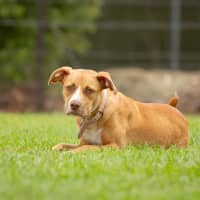 Photo of Cali