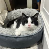 Photo of Moo