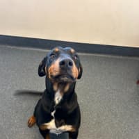 Photo of Smiley Pete