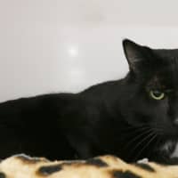 Photo of Ralph Sta015523