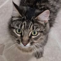 Photo of Holly
