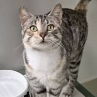 Photo of Jasmine