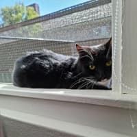 Photo of Kissy