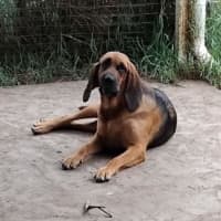 Photo of Dixie & Daisy