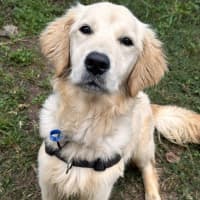 Photo of Pearl Woofster