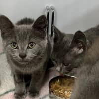 Photo of Granite, Shale & Flint