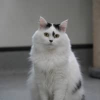 Photo of Timmy