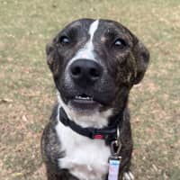 Photo of Betsy
