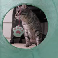 Photo of Kiara