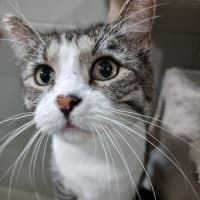 Photo of Kyro