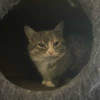Photo of Crysta