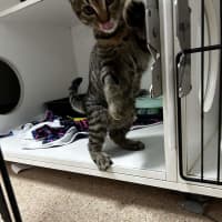 Photo of Tucker