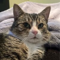 Photo of Reggie