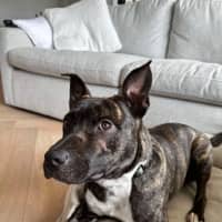 Photo of Fred