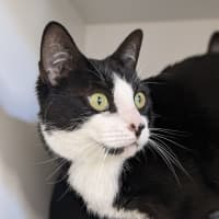 Photo of 💕 Yin 5660 💕