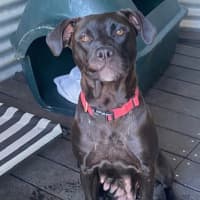 Photo of Sammie