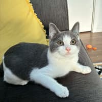 Photo of Jonno