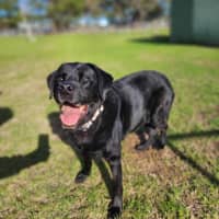 Photo of 🧀 Hugo 6240 🧀