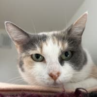 Photo of Elinor
