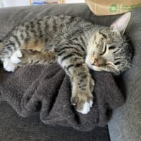 Photo of Willow